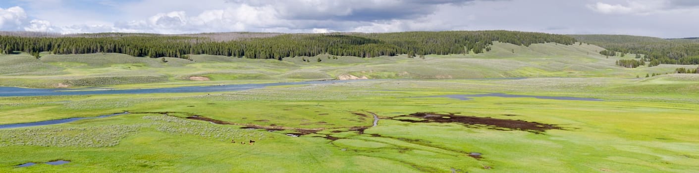 overview in Yellowstone National Park in Wyoming in the United States of America