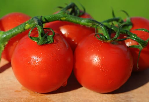 Tomatoes