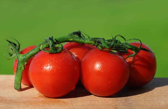 Tomatoes