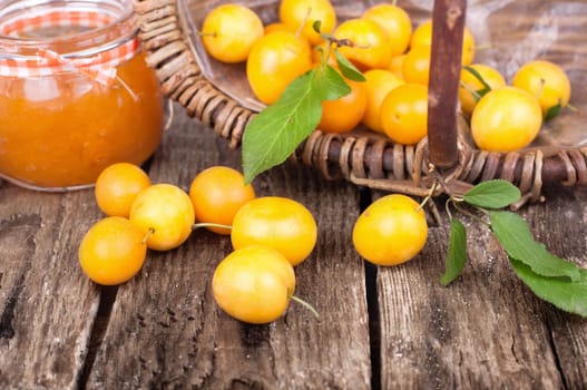 freshly harvested mirabelle plums in a basket