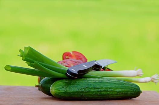 Salad ingredients