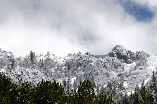 snow-capped mountains in the summer in Yellowstone National Park in Wyoming in the United States of America