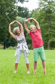 Active retired couple doing sports in a park