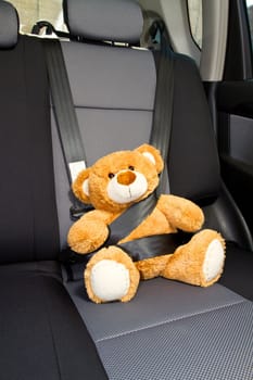 Teddy Bear buckled with safety belt in a car