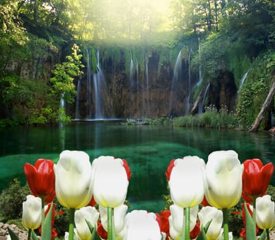 waterfall