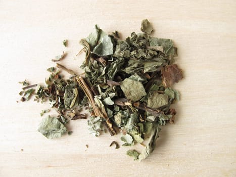 Lungwort,Pulmonariae herba