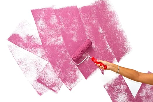 roller brush with pink pain