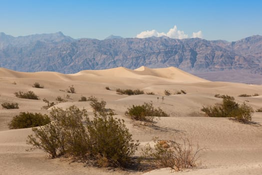 Sand dunes in Death Valley National Park, California, USA