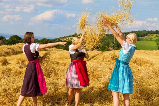Fun in a Dirndl