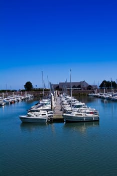 Yachts moored In a Marina