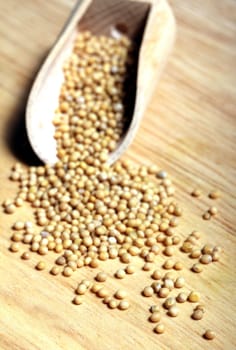 mustard grains