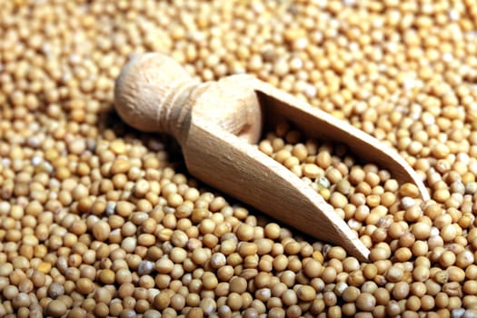 mustard grains