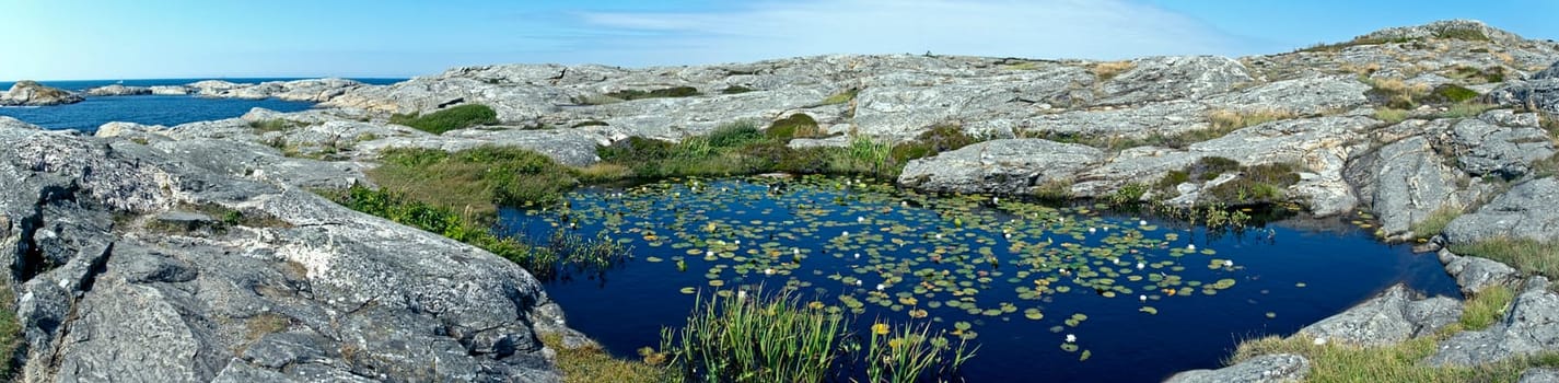 Pond with water lilies in rocky coastal landscape