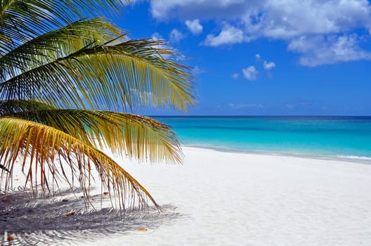 Fantastic view of a Caribbean beach.