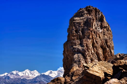 Quille du Diable Devil's Claw