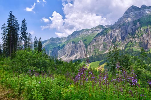 On the Pragel Pass