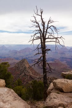Grand Canyon National Park in Arizona, USA