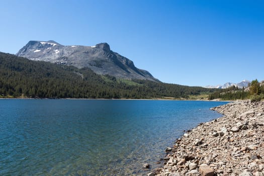Yosemite national park in California - USA