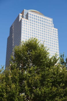 New York City building behind trees