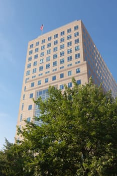 New York City building behind trees