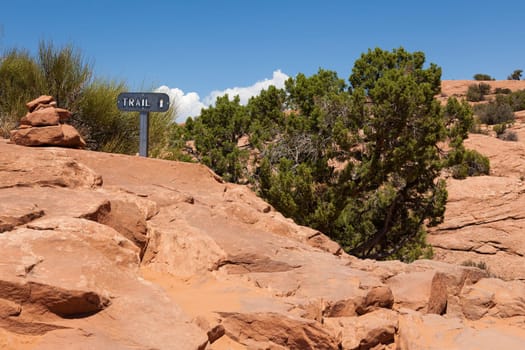 Arches national park in Utah  - USA