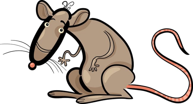 Cartoon Humorous Illustration of Rat Animal Character
