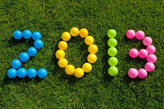 Happy New Year 2013 against a green grass background