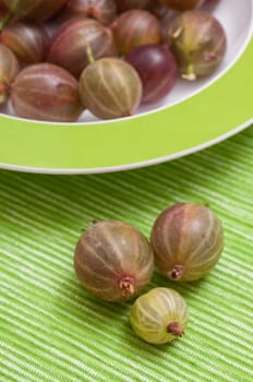 Ripe gooseberries in green plate and placemat