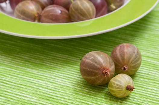 Three ripe gooseberries on a green background