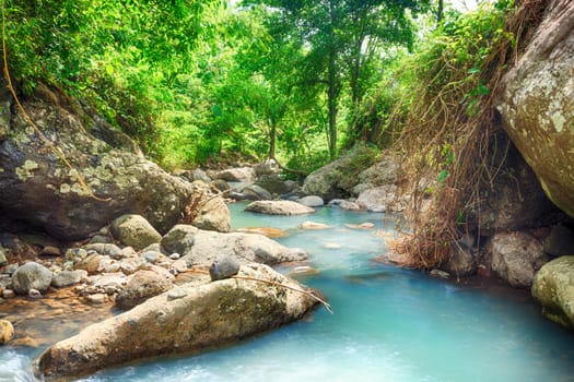 Stream among rainforest.Bali. Indonesia