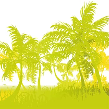 Blades of grass,stand and palm trees