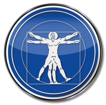 Shield Golden Ratio