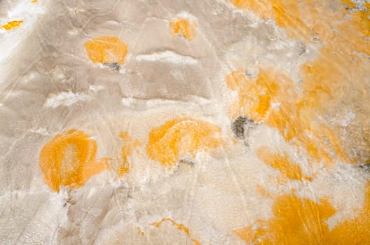 colors close to Geyser in Yellowstone National Park in Wyoming in the United States of America