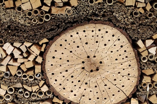 Detail of an insect house