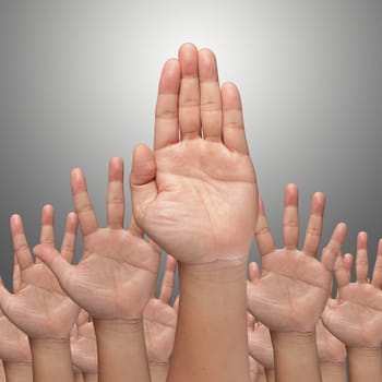 Many Hands raise high up on white background