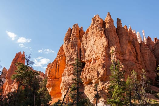 Bryce canyon national park in Utah  - USA