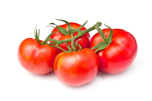 red tomato vegetable isolated on white background