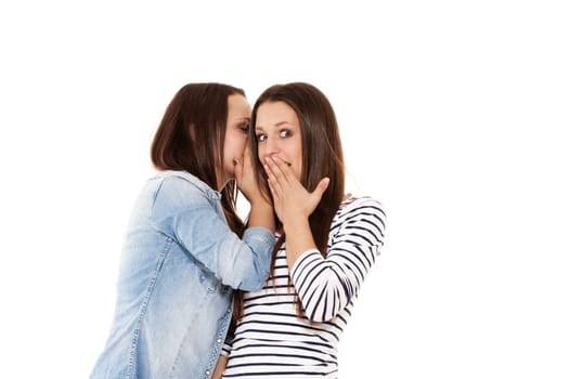 Teenager whispering in her surprised girlfriend's ear on white background