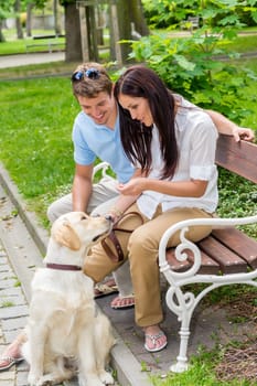 Young couple training dog in the park happy teaching pet