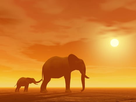 Little elephant holding its mum&#039 s queue by sunset