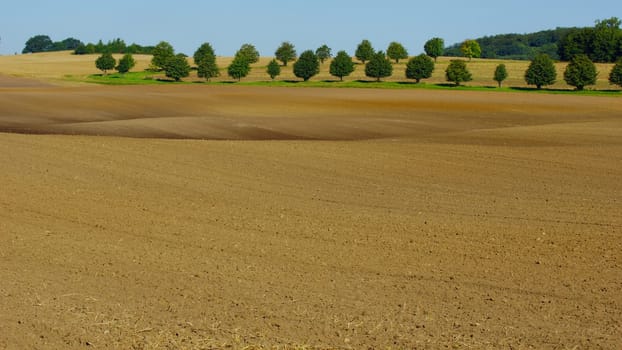 Background Agriculture