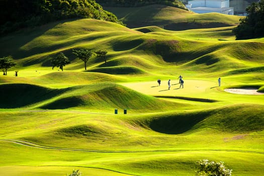 Golf place with wonderful green for adv or others purpose use