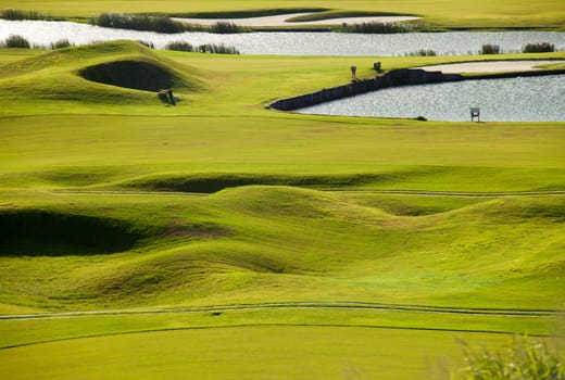 Golf place with wonderful green for adv or others purpose use