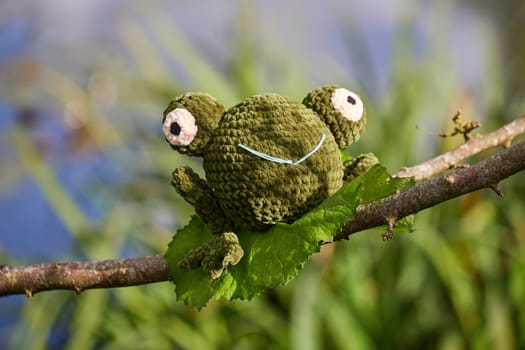 Knitted frog toy in the garden on a tree.