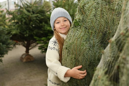 A girl chooses for buying a Christmas tree in the market.