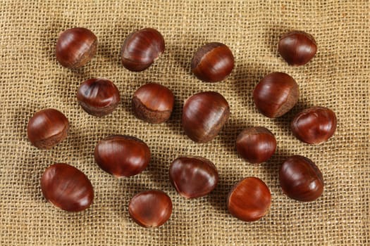 Shiny chestnuts on jute textile, photo from above