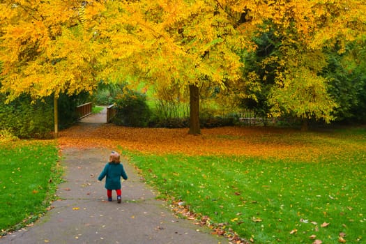 Autumn. Little girl runs away in a park with yellow trees and fallen leaves