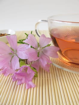 Tea with wild mallow