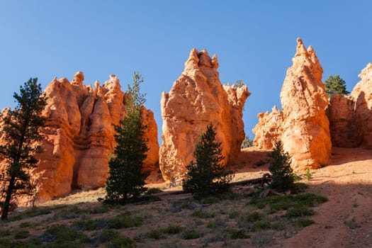 Geological formations in Bryce canyon national park in Utah  - USA