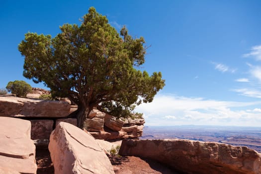 Dead horse view in Utah - USA